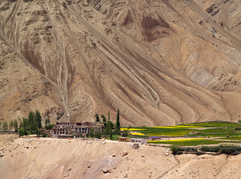 Sham Trek - Trekking in Ladakh