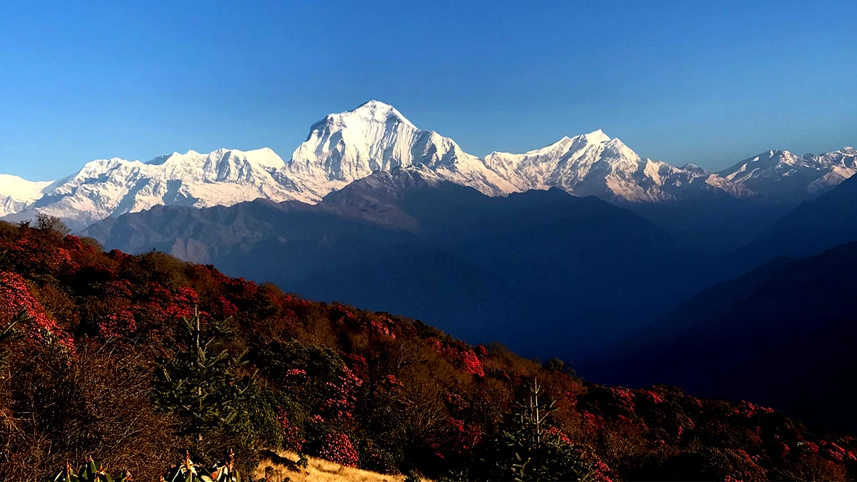 Dhaulagiri Circuit Trek - 17 days