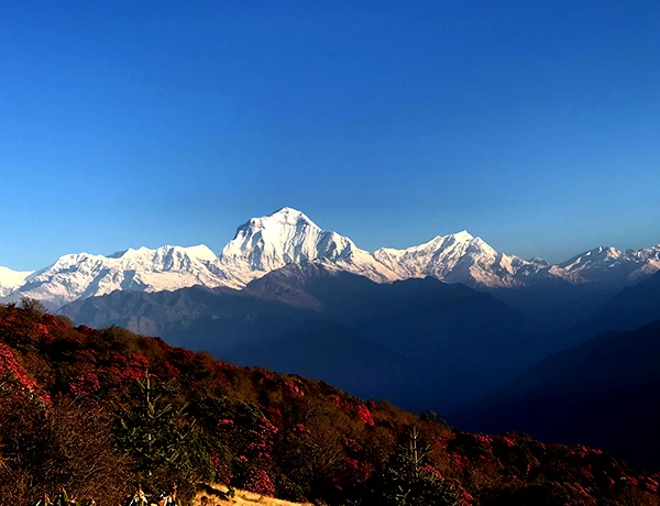 Dhaulagiri Circuit Trek - 17 days